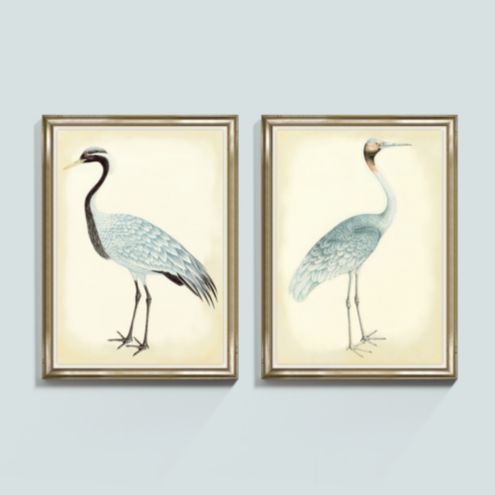 Bunny Williams Bird Art | Ballard Designs, Inc.