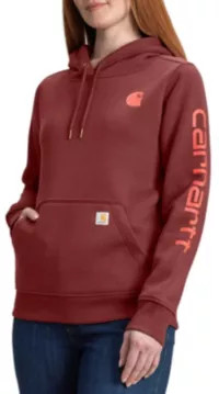 Carhartt Women's Clarksburg Graphic Sleeve Hoodie | DICK'S Sporting Goods