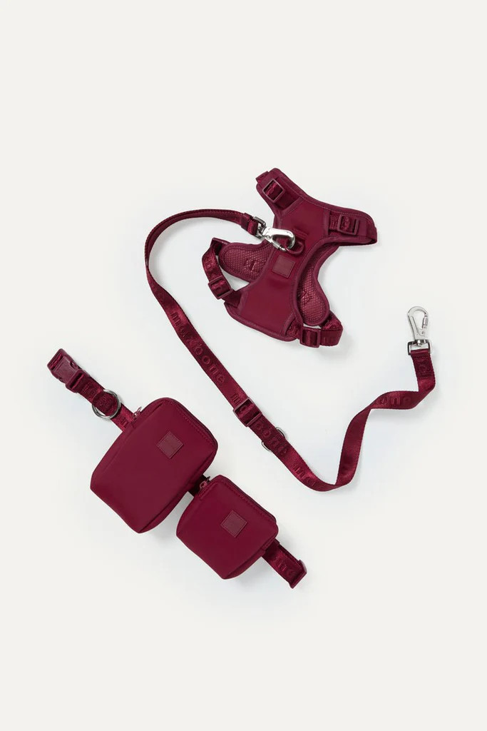 Go! With Ease Leash Bundle | max-bone