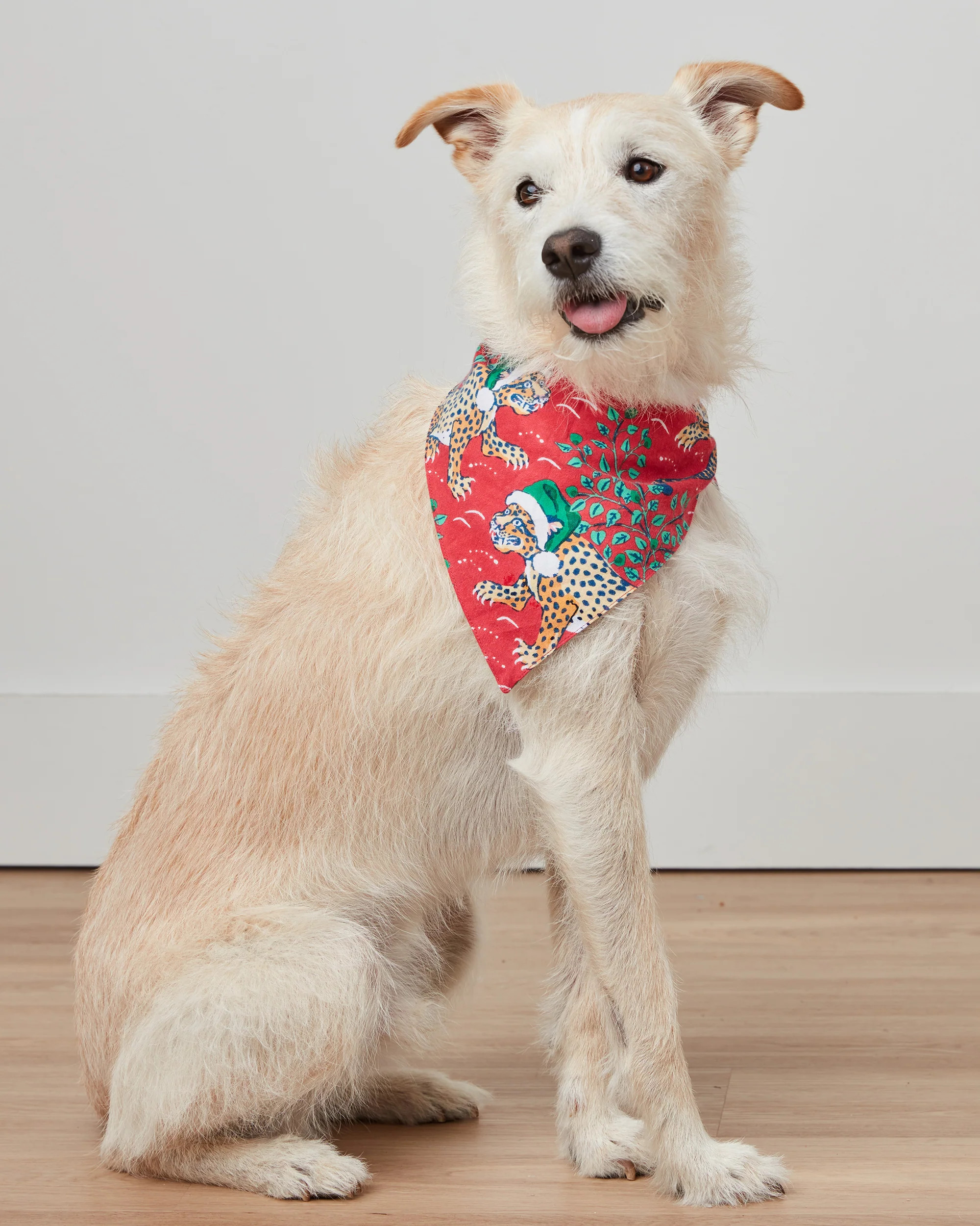 Holly Jolly Bagheera - Flannel Pet Bandana - Ruby | Printfresh