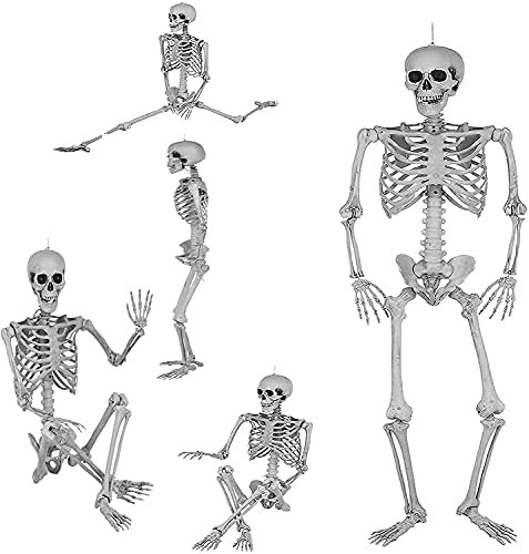 65in Halloween Decoration Skeleton Life Size - Full Body Halloween Skeleton,Posable Skeleton Pose... | Amazon (US)