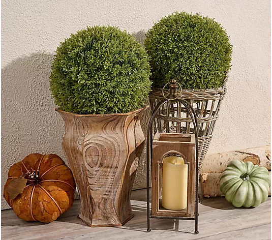 Wicker Park Set of 2 Oversized Faux Cedar Spheres - QVC.com | QVC