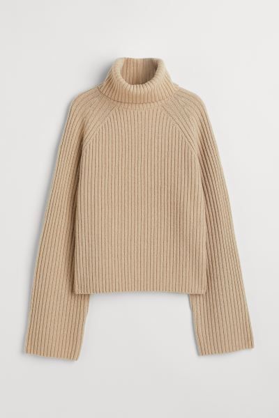 Ribbed Turtleneck Sweater | H&M (US)