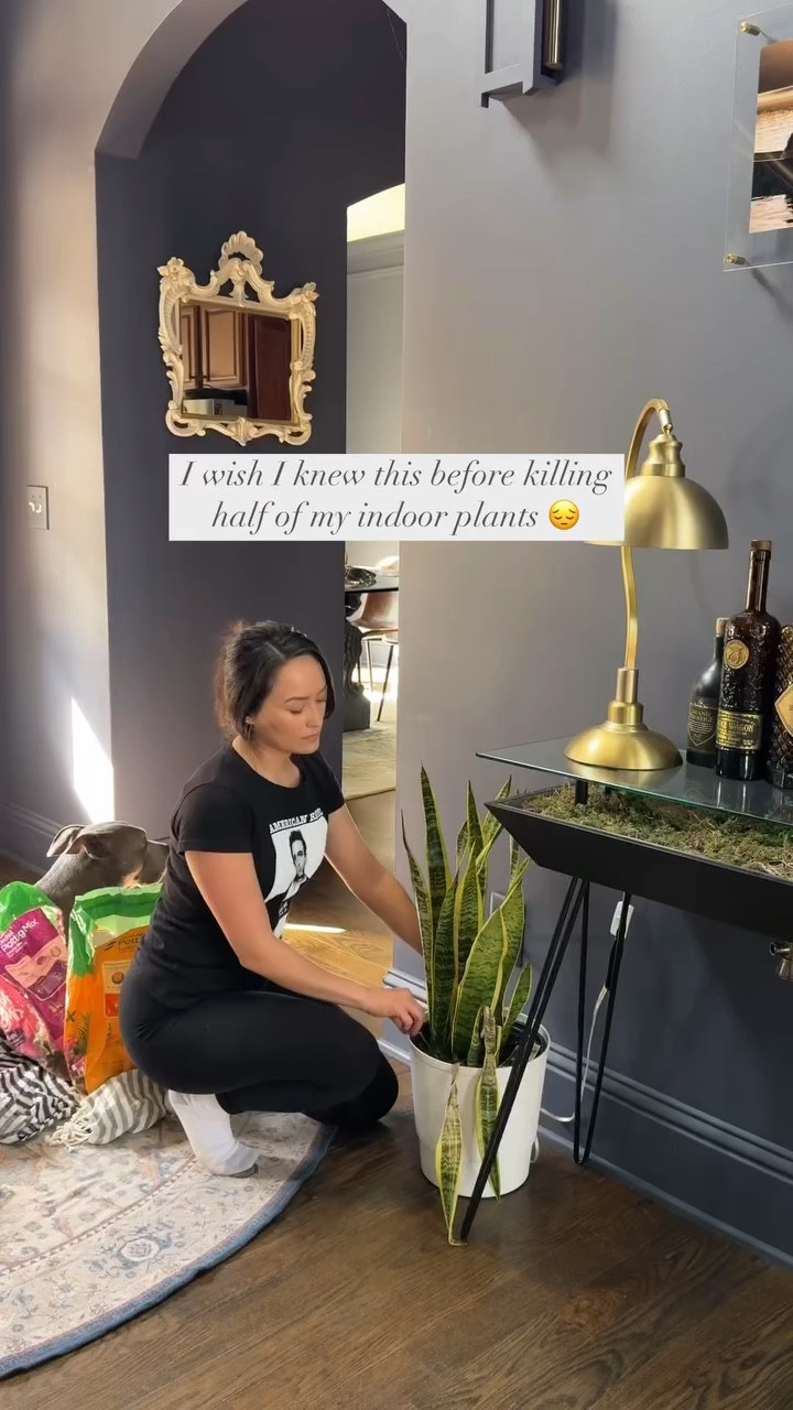 How to repot a succulent! 
Snake plants don’t die easily unless they’re overwatered since it’s a succulent! So I knew I had to get in the soil to see if there was any root rot. 

- Root rot looks like brown mushy roots and sometimes stink. They’ll be a distinct color difference between the rot and healthy roots
- Always use the right soil! Never use heavy soil for succulents as it will hold too much moisture. I found this annoying at first but succulents need a well draining soil.
- Use clean and disinfected tools. That’s why I disinfected the pot since the infected organisms can transfer easily. 

Comment “Plant” for links!