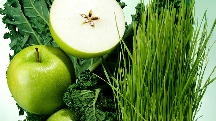 Daily Greens Superfood Powder Collection | Proper | Proper Health