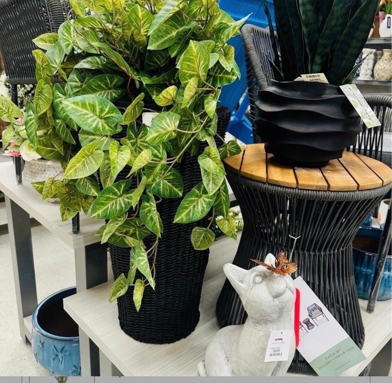 Adding greenery = instant home upgrade 🌿✨
TJ Maxx always has the BEST affordable decor pieces for that cozy aesthetic

#LTKHome