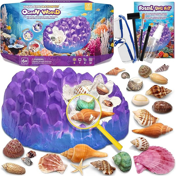 Ocean Fossil Dig Kit, Dig up 20+ Real Shells & Seasnails, STEM Educational Activity Set Sea Creat... | Amazon (US)