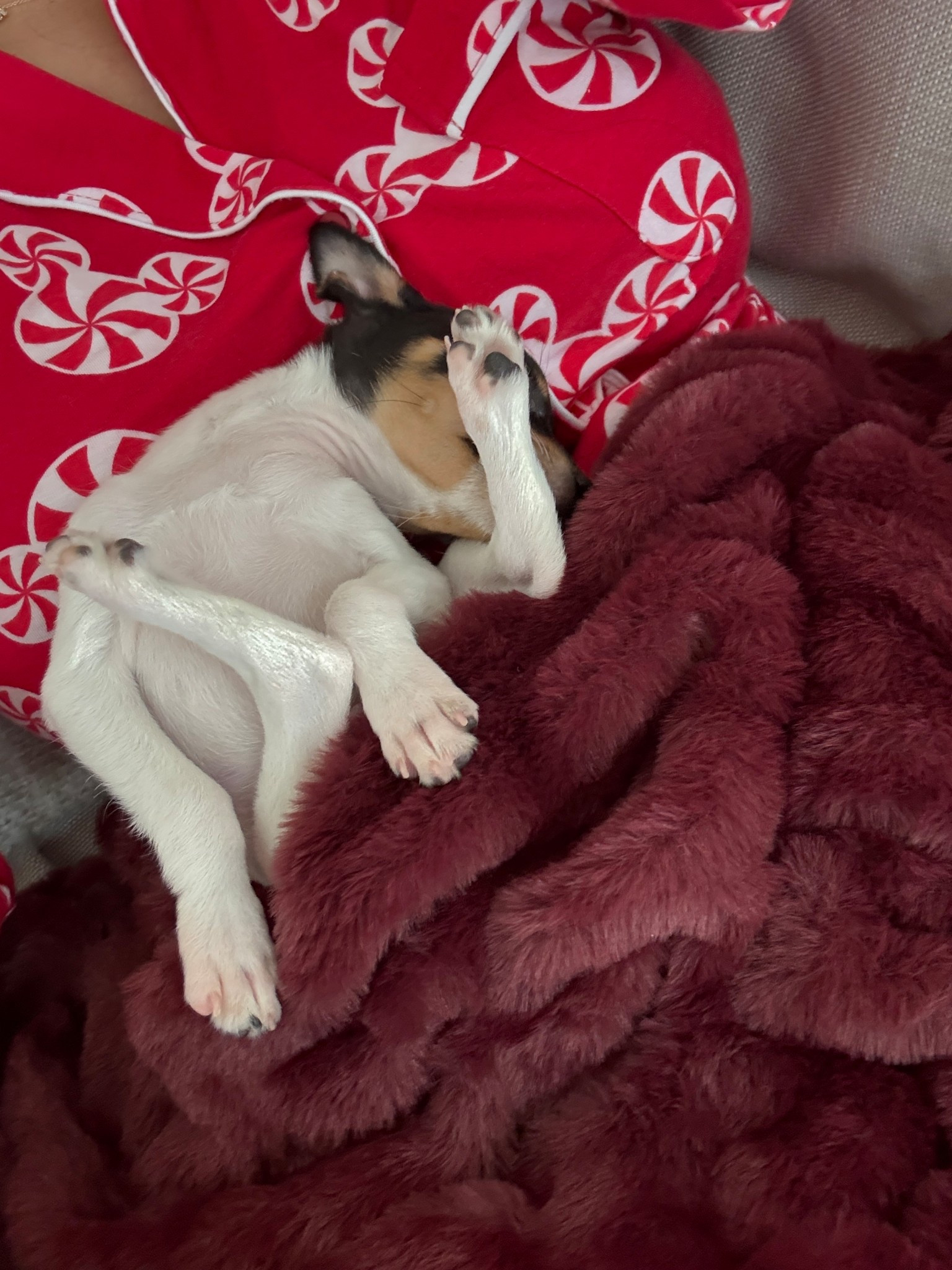 Linking some similar Christmas pajama sets. This Lola Blanket is so soft! It would be a great gift. They have so many colors and patterns to choose from!

#LTKGiftGuide #LTKHoliday #LTKHome