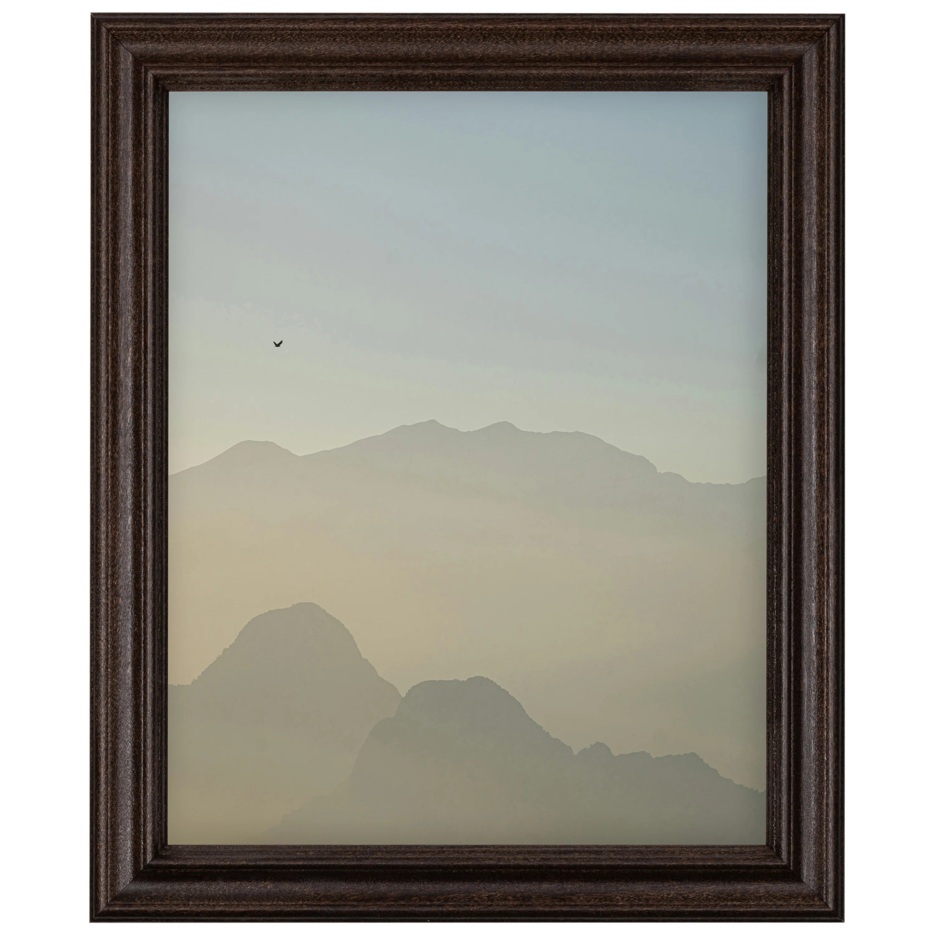 Irasema Single Image Picture Frame | Wayfair North America