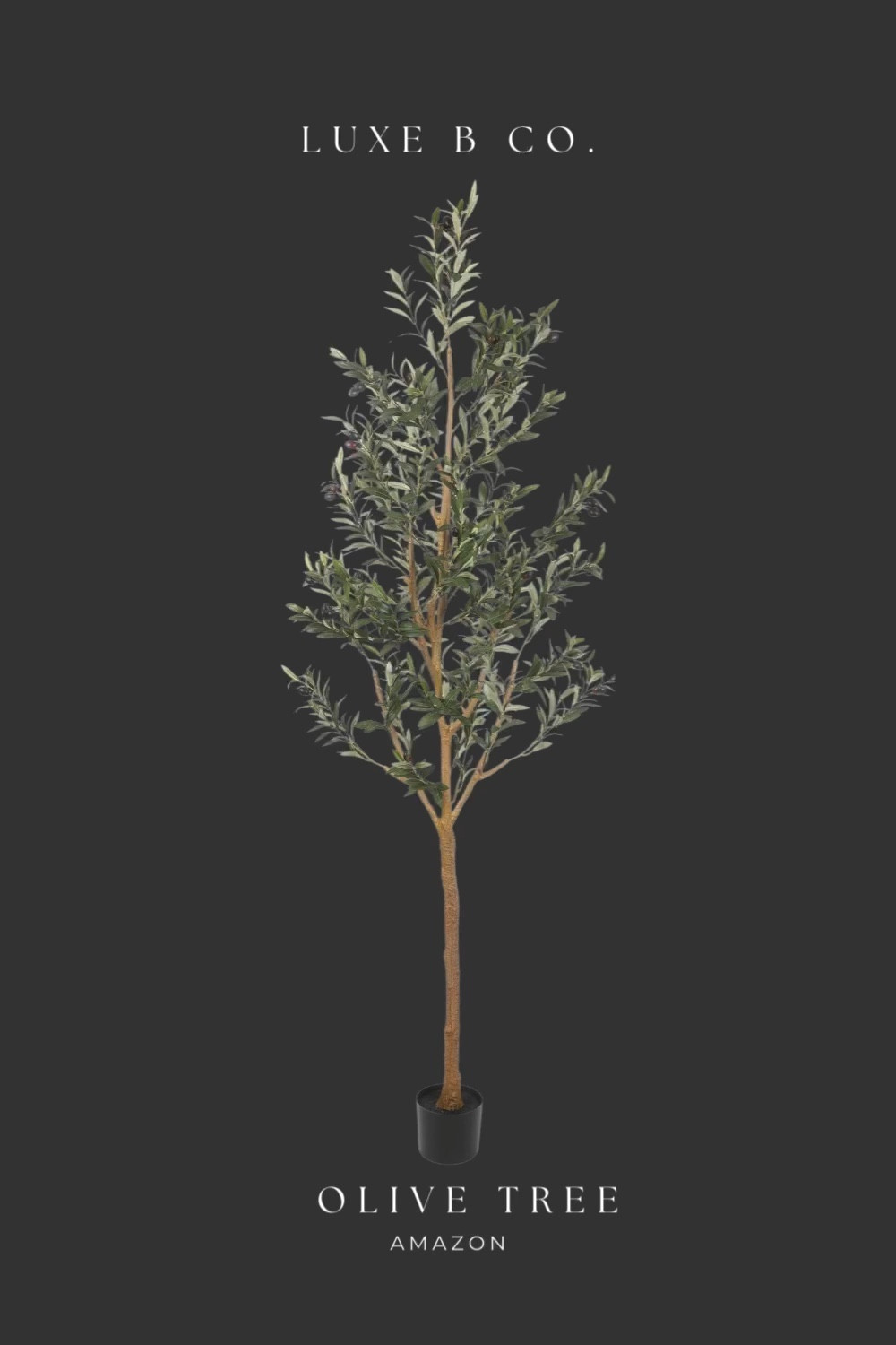 My favourite Amazon purchase for my living Room , Olive Tree , Amazon Home decor , Amazon must Have , Home design 