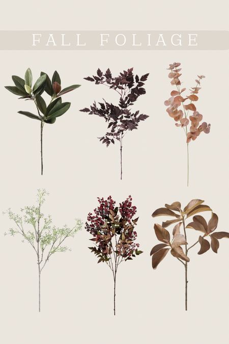 fall faux foliage 
fall flowers / fall stems / fall preview / floral / florals I’m loving for fall / home decor / seasonal decor / seasonal floral / fall decor

#LTKstyletip #LTKSeasonal #LTKFind