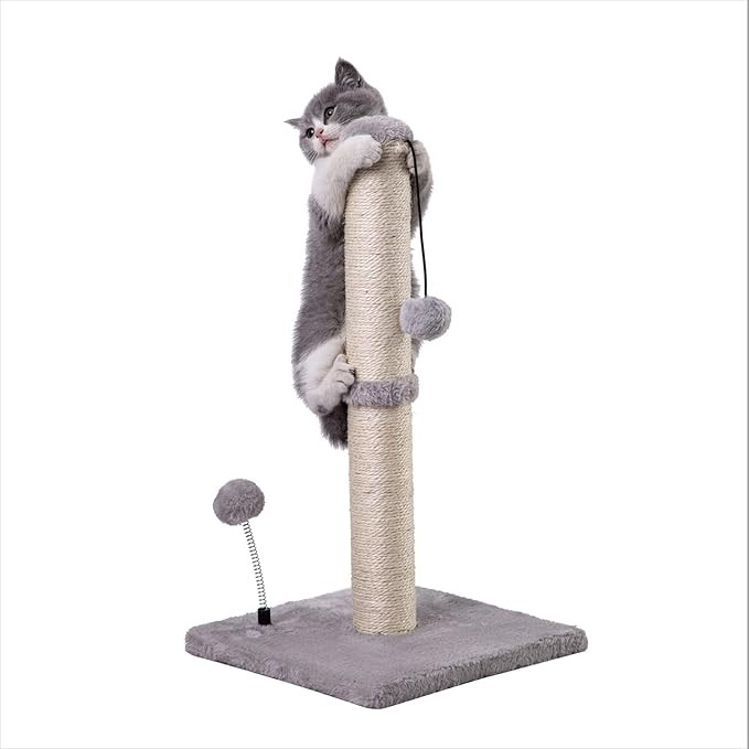 MECOOL Cat Scratching Post Premium Basics Kitten Scratcher Sisal Scratch Posts with Hanging Ball ... | Amazon (US)