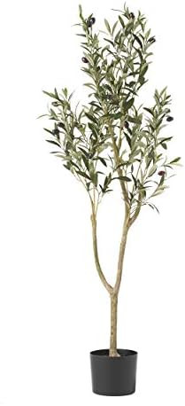 Christopher Knight Home 313745 Artificial Plants, 4' x 1.5', Green | Amazon (US)