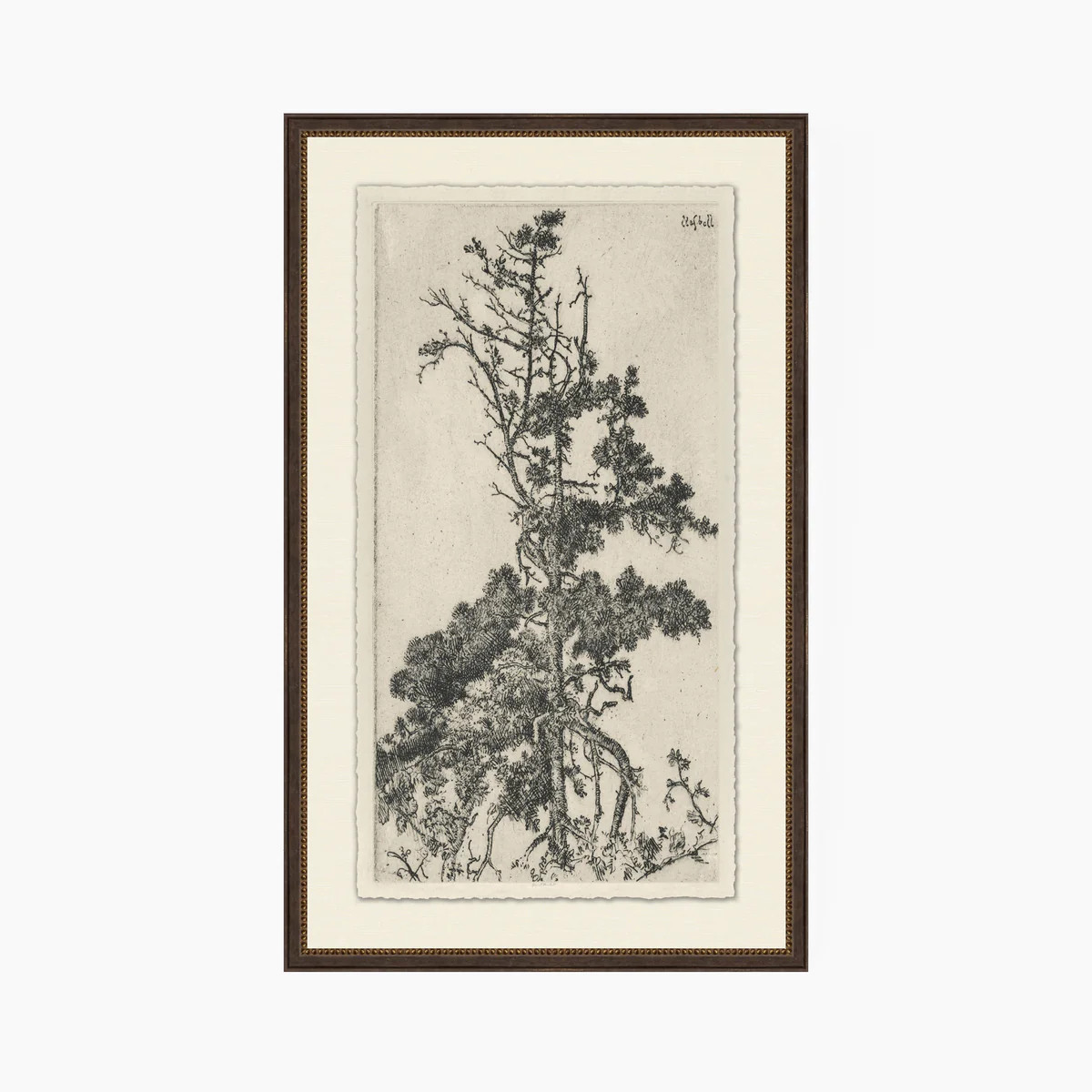 Tree Tops 5 | Stoffer Home