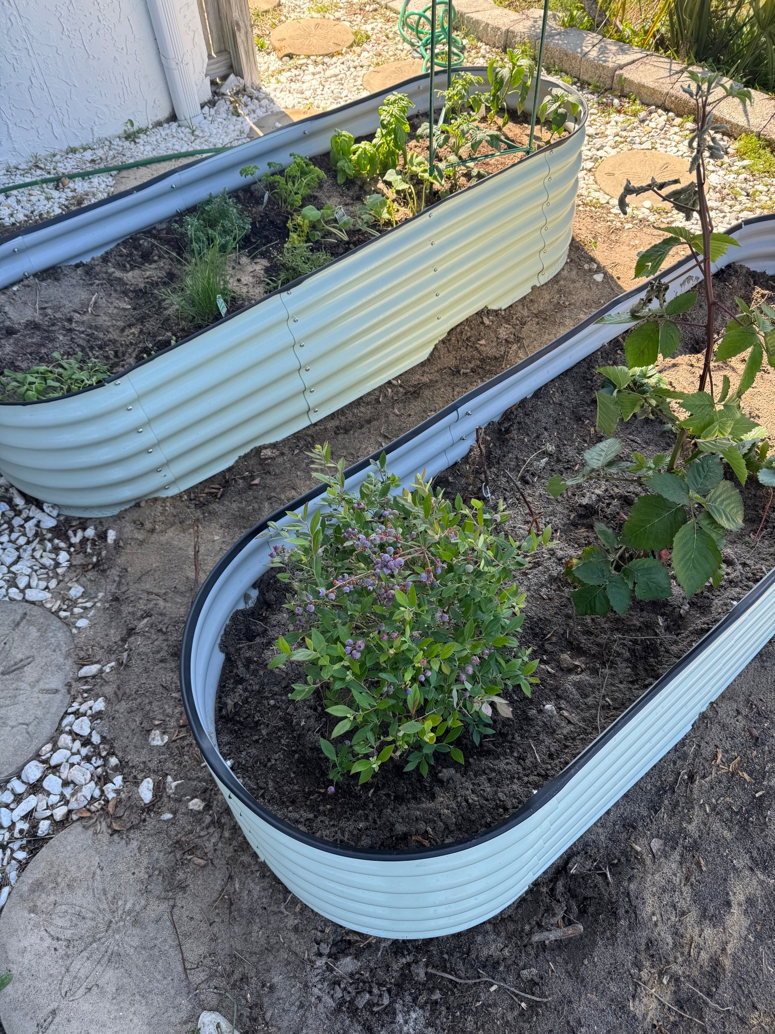 Walmart Planter Beds 🌿

#LTKFamily #LTKSaleAlert #LTKSeasonal