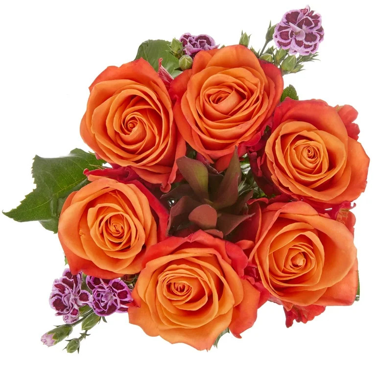 Rose Plus Flower Bouquet 6 Stem, Colors May Vary | Walmart (US)