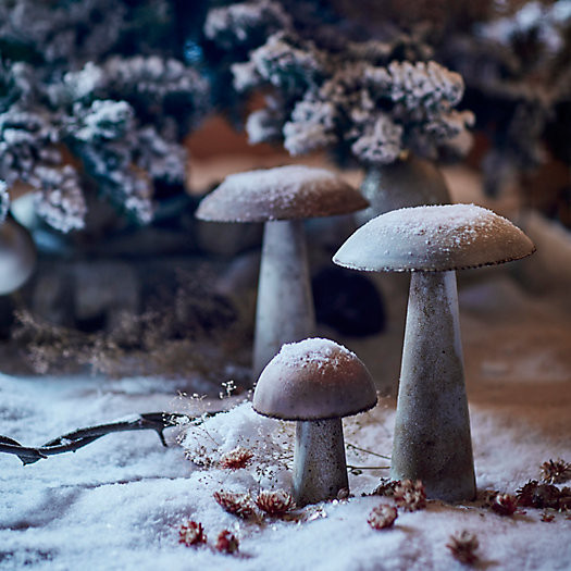 Colorful Iron Mushroom, Flat Top | Terrain