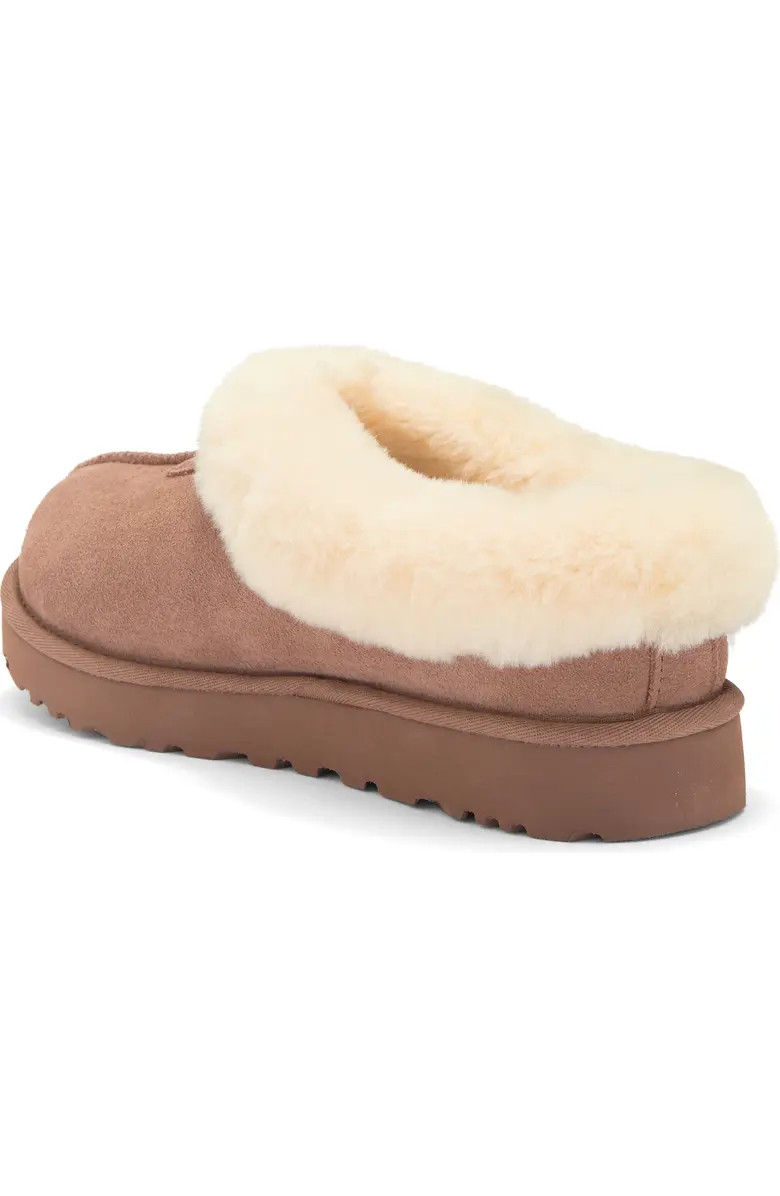 Tazzette Genuine Shearling Collar Slipper (Women) | Nordstrom