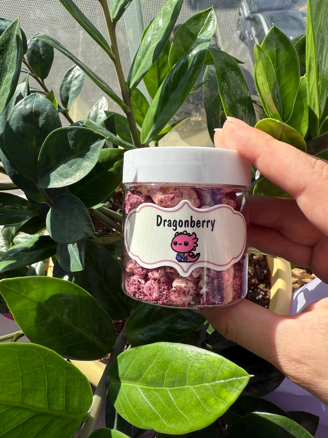 Dragonberry - Hermit Crab Popcorn - Healthy Snacks - Hermit Crab Food | Etsy (US)