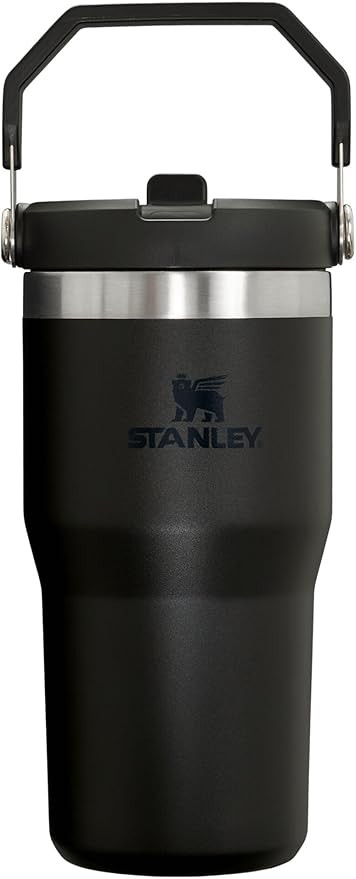 Stanley IceFlow Flip Straw Tumbler with Handle 20 oz | Twist On Lid and Flip Up Straw | Leak Resi... | Amazon (US)