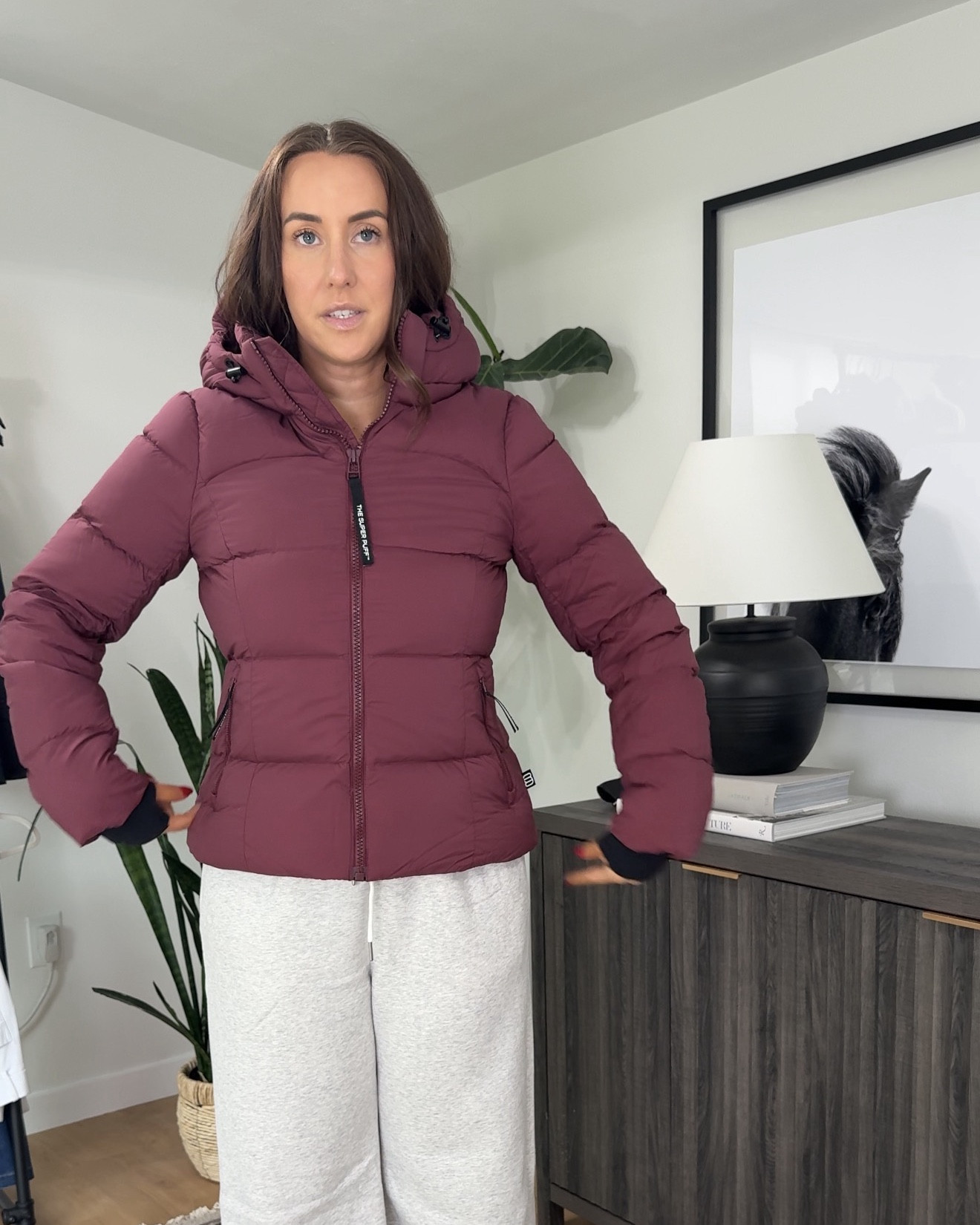 My favorite winter jacket. Put this on your list for your Black Friday purchase 👌🏻 

Jacket: M


#LTKSeasonal #LTKStyleTip