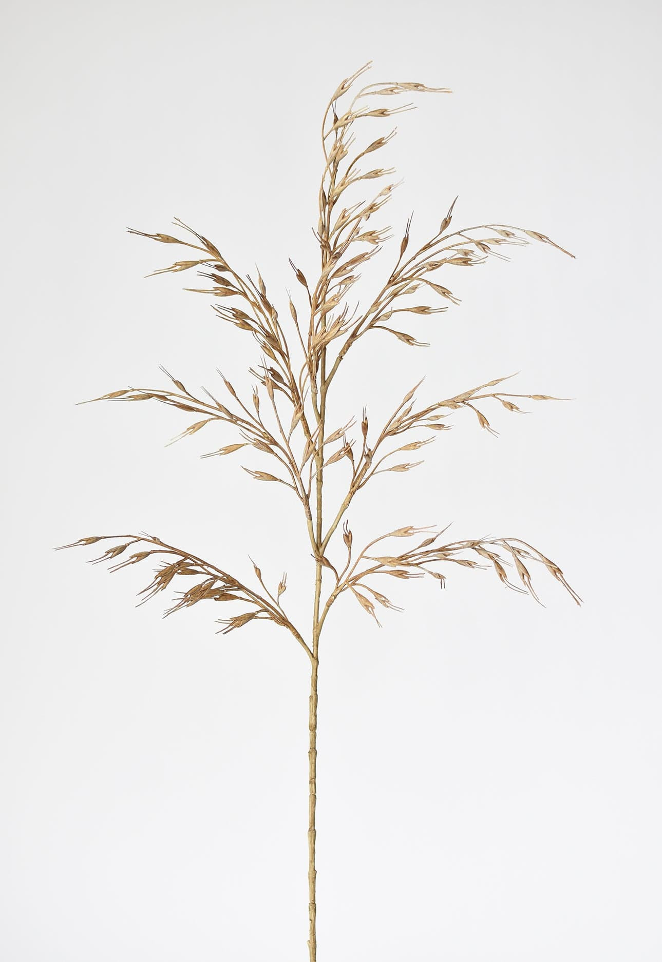 34" Faux Beige Wild Wheat Stem | HouseFloral