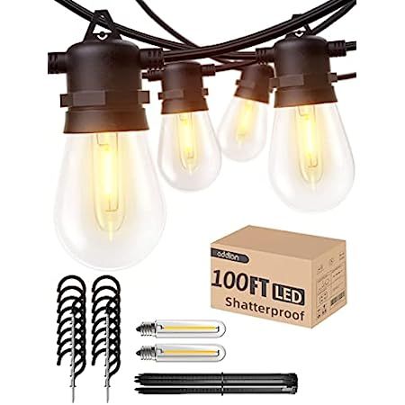 addlon LED Outdoor String Lights 48FT with 2W Dimmable Edison Vintage Shatterproof Bulbs and Comm... | Amazon (US)