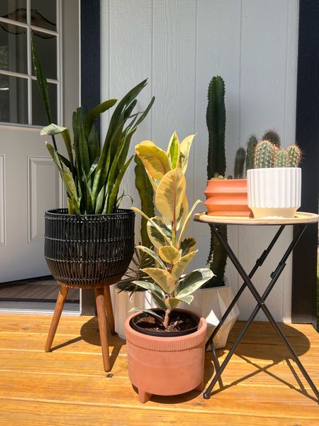 Found the perfect, plush chair + pots for my plants to spruce the porch of my she-shed for summer!! And, I’m obsessed!! 
They have so many options for an outdoor refresh. The pots are all super affordable too. 
Linking a few extra that I have in my cart. 

#walmartpartner #walmartfinds #walmarthome #outdoorfurniture #patio #refresh 


#LTKHome #LTKStyleTip #LTKSeasonal