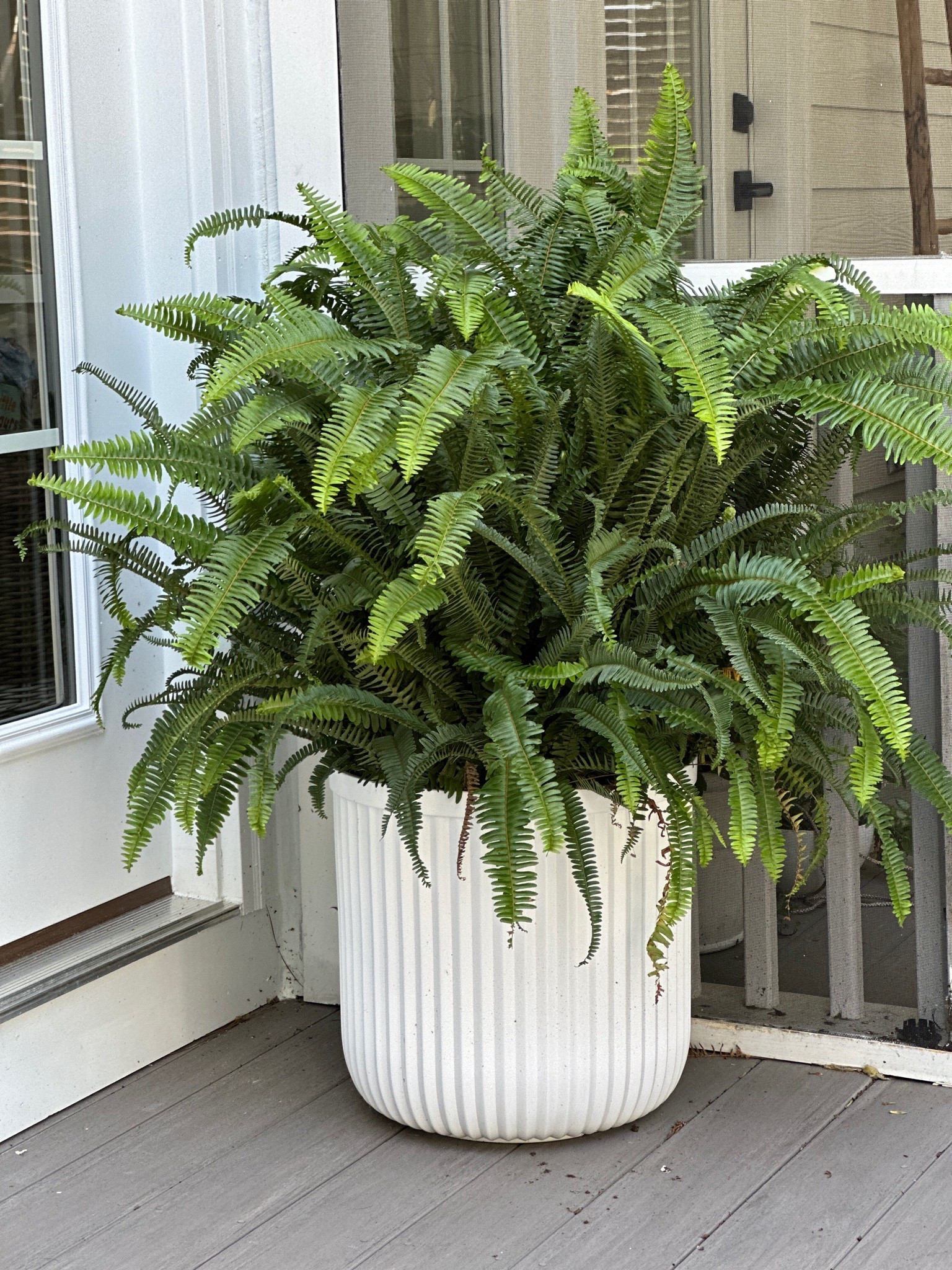 You can’t beat the price on this Walmart planter that looks like it’s from pottery barn. 

#LTKSeasonal #LTKHome