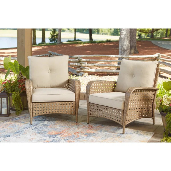 Braylee Outdoor Lounge Chair (Set of 2) | Wayfair North America