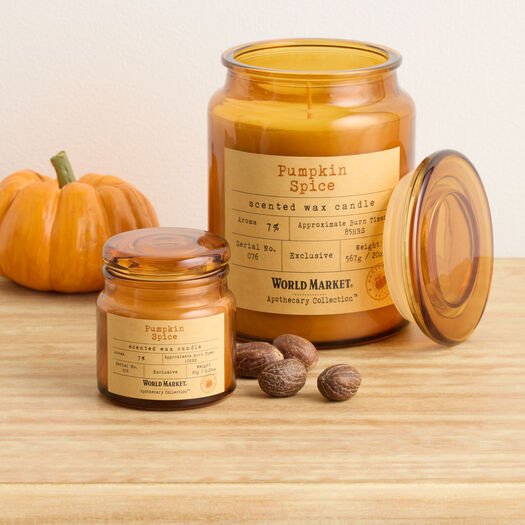 Apothecary Pumpkin Spice Scented Candle by World Market | World Market