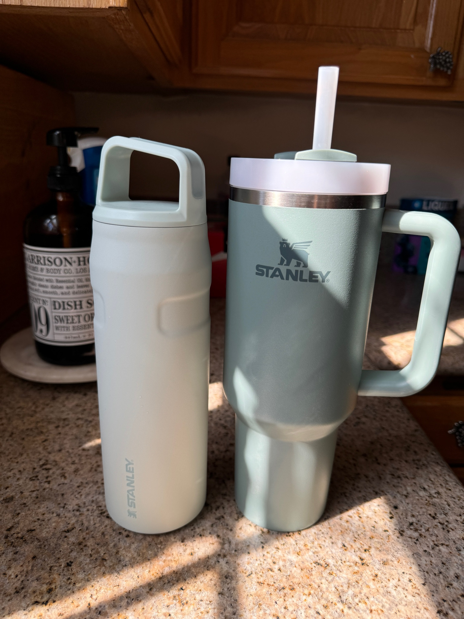 My top two FAVE STANLEY's 🙌🏼🥰 
@stanley #stanleypartner

✔️Ice flow is in color MIST
✔️ quencher is in color SHALE 

#LTKU #LTKFitness #LTKHome