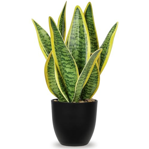 Hollyone Artificial Snake Plant Potted Faux Sansevieria Trifasciata Plants, 13" Tropical Fake Snake Plants in Black Pots for Home Office Room Indoor Decor Housewarming Gifts | Amazon (US)