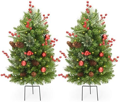 LIFEFAIR 30 Inch Outdoor Christmas Tree Set of 2,Pre-Lit LED Christmas Porch Decorations Outdoor ... | Amazon (US)