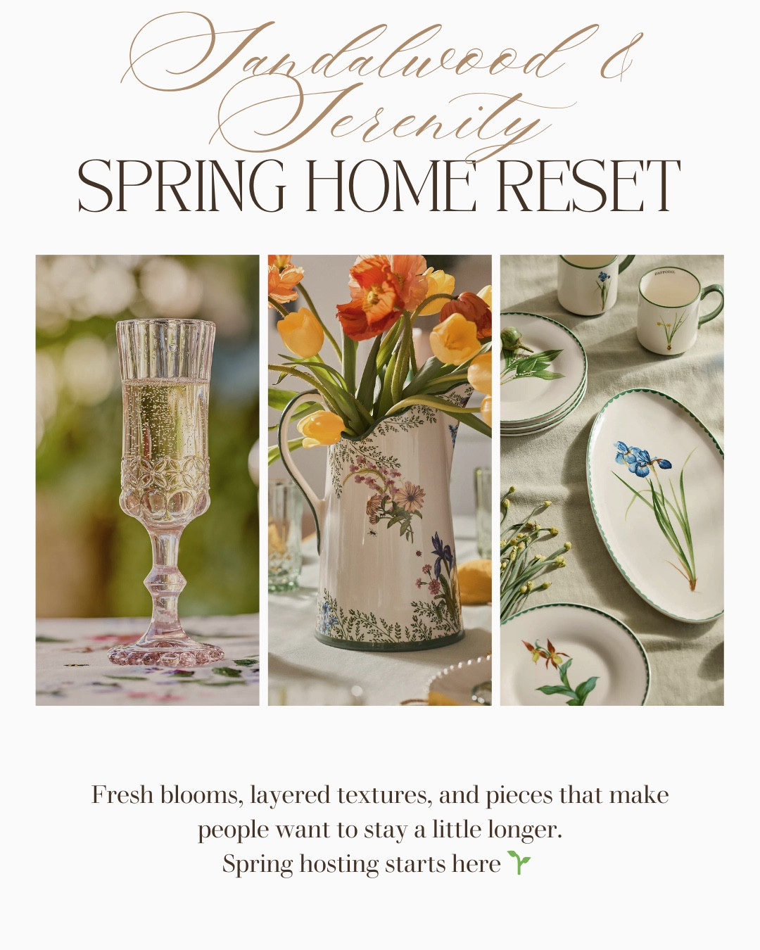 Your home deserves a reset that feels like a deep exhale.

Soft textures, warm neutrals, and those little pieces that make everything feel calmer, cleaner… lighter.

This is your sign to romanticize your space this spring 🌿

Shop the full edit → everything linked here


#LTKHome #LTKdayinmylife #LTKSeasonal