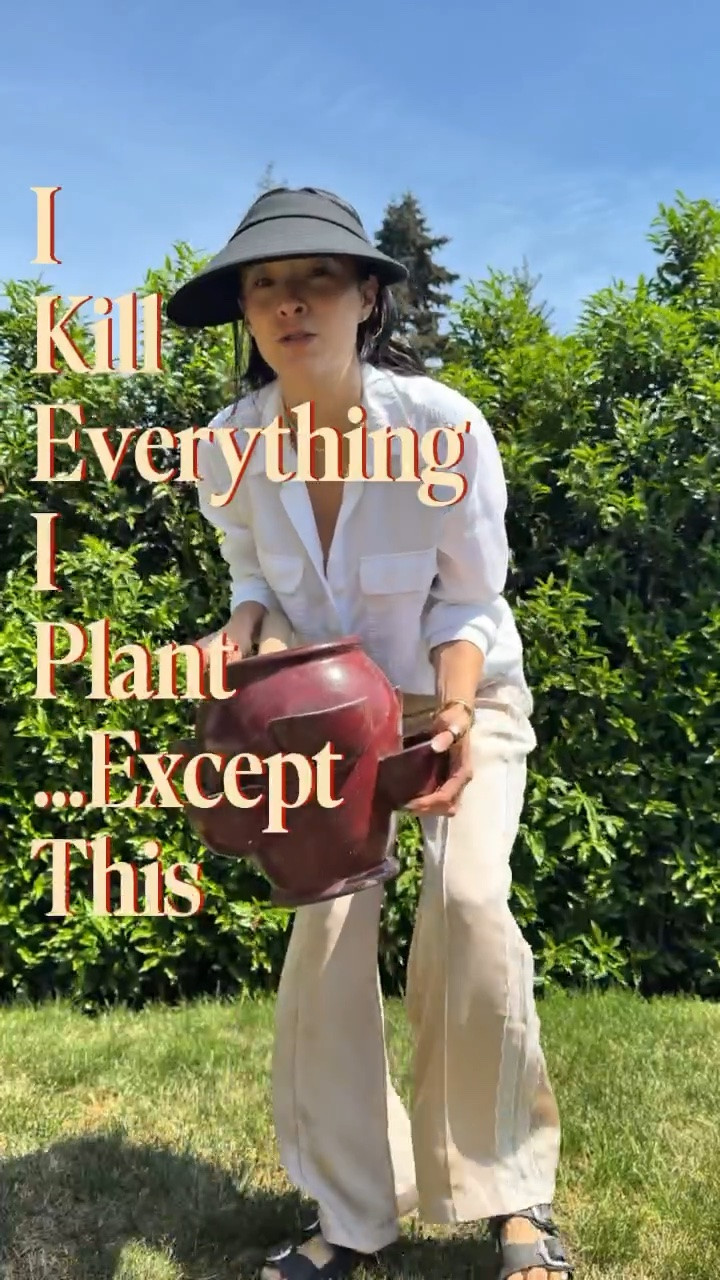 My special talent happens to be killing every plant I’ve ever owned.

So at the risk of jinxing it — I finally figured out why strawberry planters always die on me. The water never actually reaches the pockets on the sides.

After one whole week of testing, I have a thriving strawberry planter and a showstopper on my patio.

Any other plant killers out there? Save this post for later and let me know if you’ve learned any other tricks that might help a fellow plant killer

#LTKcanada #LTKsummer