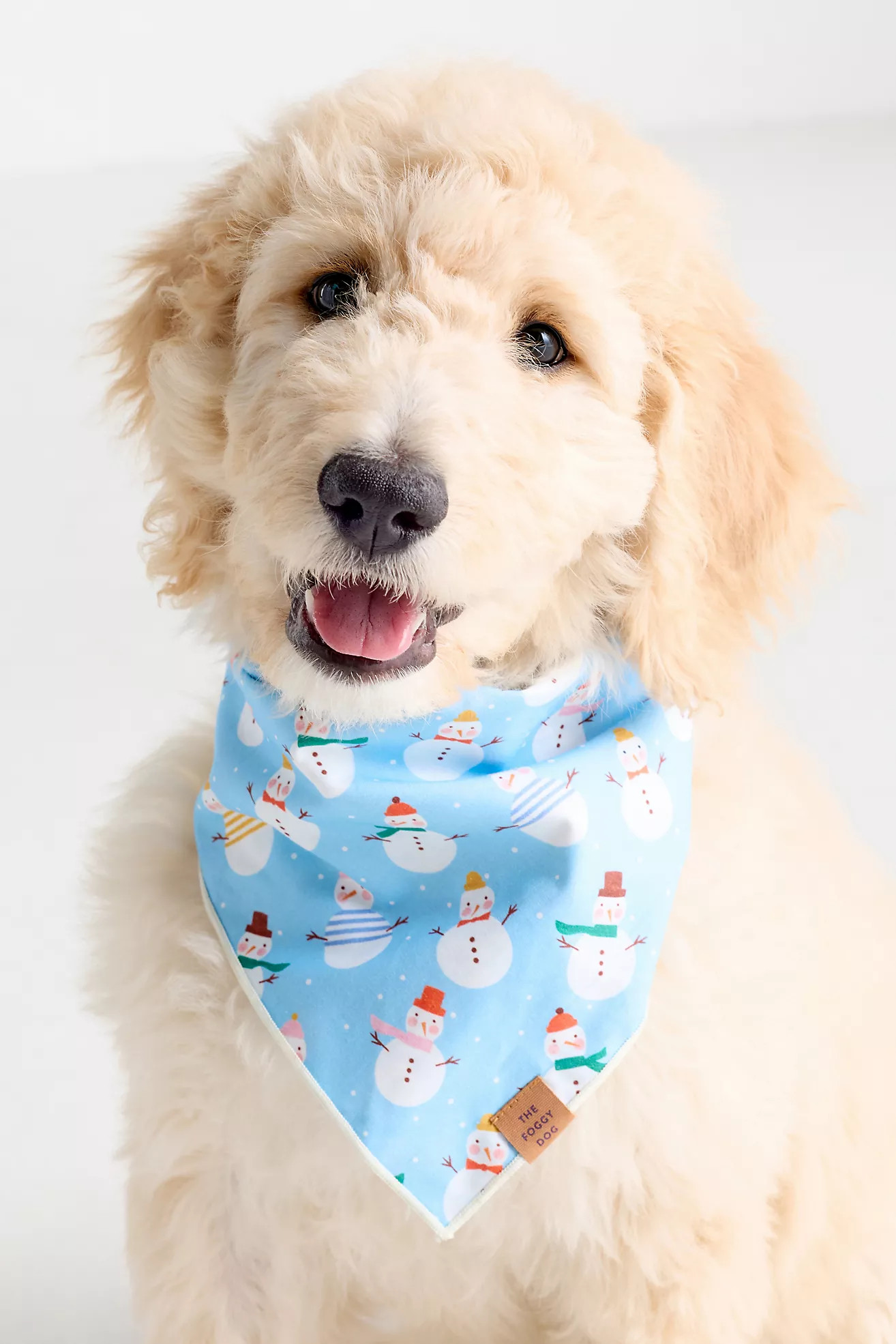 The Foggy Dog Pet Bandana | Anthropologie (US)