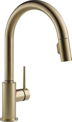 Delta Faucet Trinsic Single-Handle Kitchen Sink Faucet with Pull Down Sprayer and Magnetic Dockin... | Amazon (US)