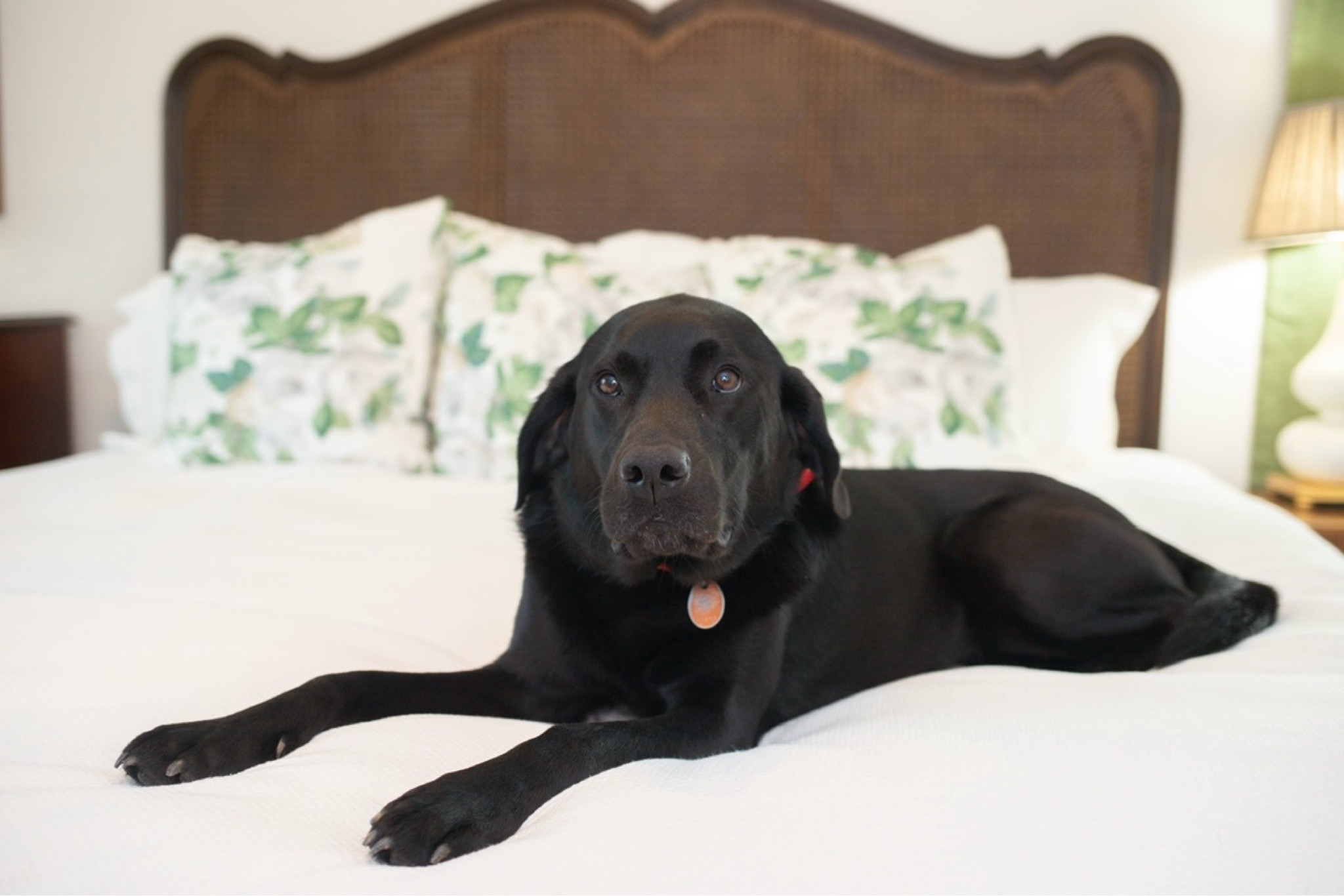 Lolly’s recommendations for a comfortable master suite 