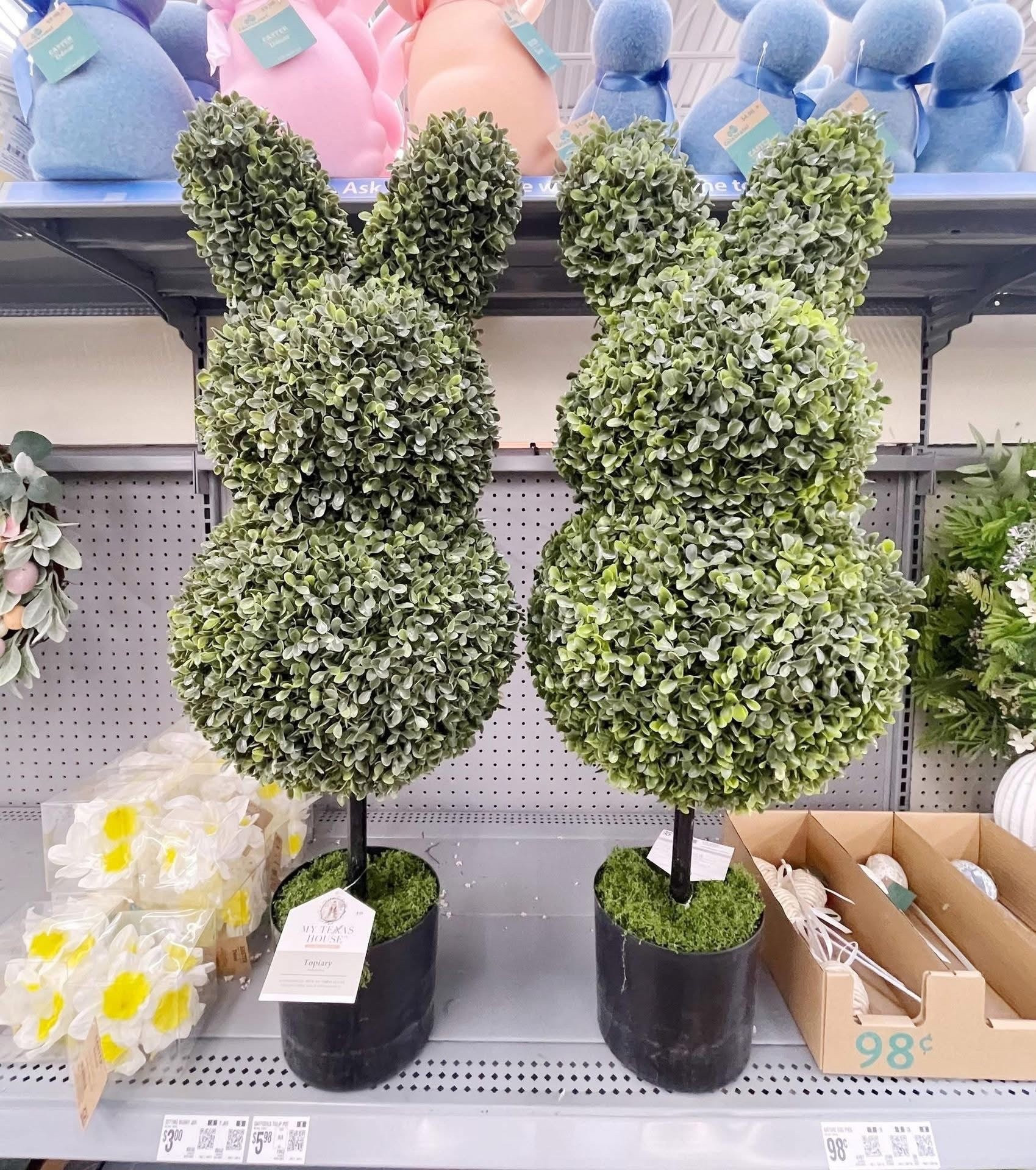 The famous Boxwood Bunny Topiaries are BACK in stock! Soo cute! 



#LTKSeasonal #LTKSaleAlert #LTKdayinmylife