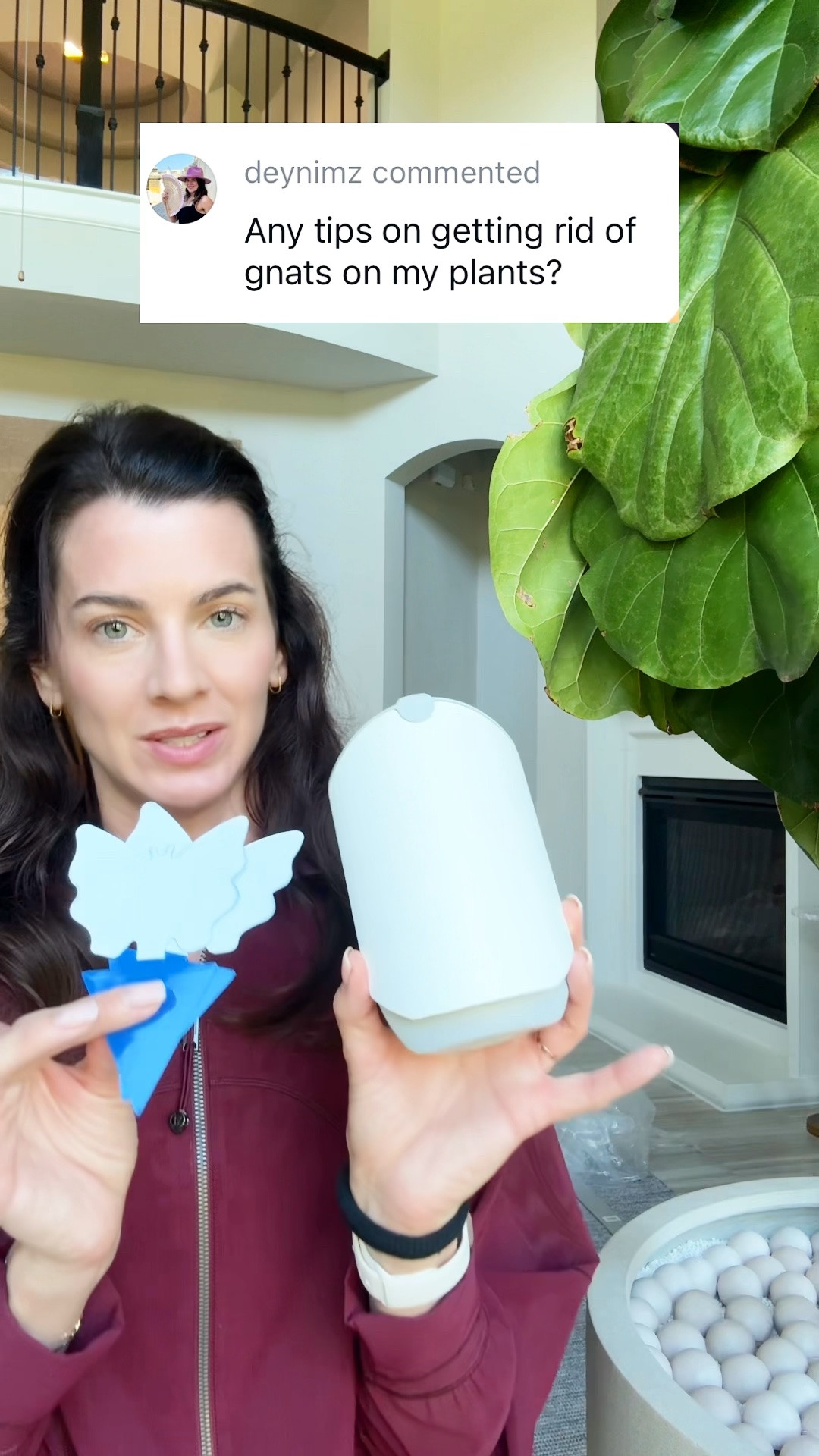 Keeping your indoor houseplants gnat-free doesn’t have to be complicated. Follow these few steps and you’ll be gnat-free in no time!

#HousePlants #PlantCare #IndoorPlants #GnatFree #PlantTips

#LTKHome #LTKmomlife #LTKdayinmylife