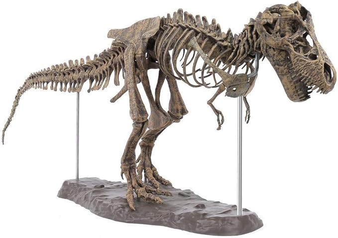 3D T-Rex Dinosaur Skeleton Model Puzzles Simulation Educational Toy Pre-School Teaching Soft Non-... | Amazon (US)