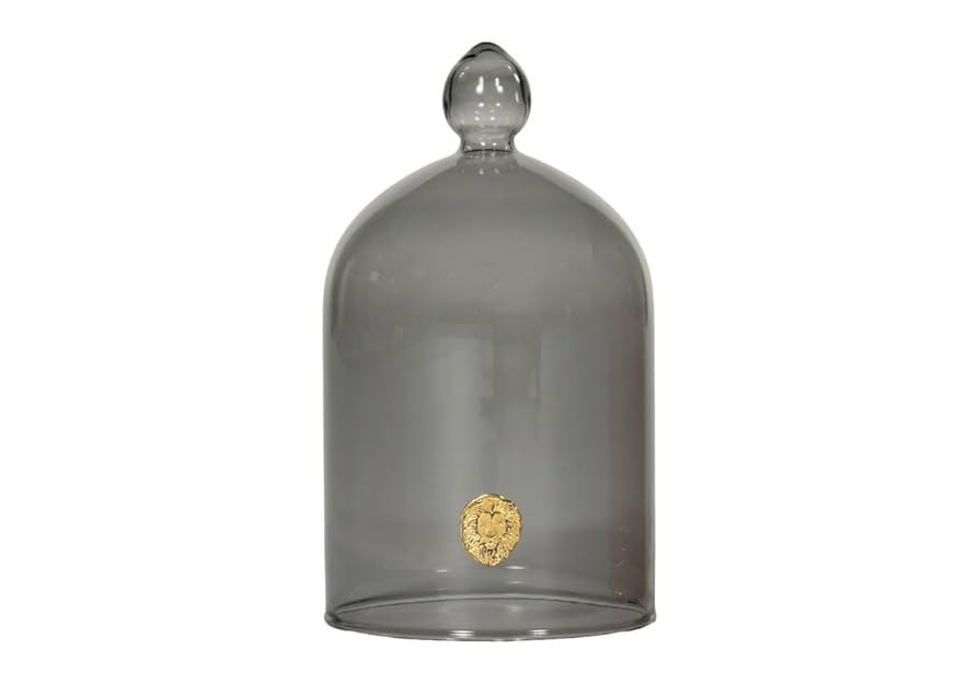 Alice Lane Glass Cloche – Clear Glass Dome Display Case for Home Decor, Centerpieces, Candles, ... | Amazon (US)