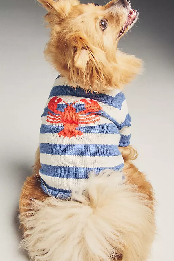 Pinch Perfect Striped Lobster Pet Sweater | Anthropologie (US)