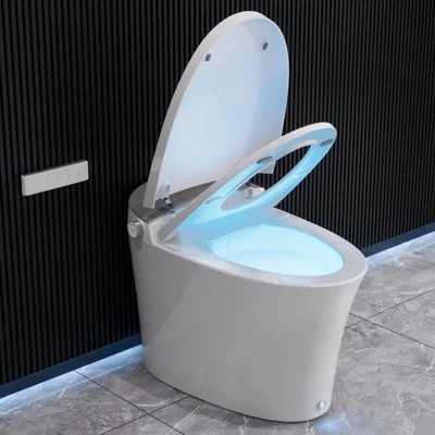 Elongated Smart Toilet with Bidet Function, Auto Open/Close Lid, Heated Seat, Foot Kick & Blackout Flush – Premium Comfort | Wayfair North America