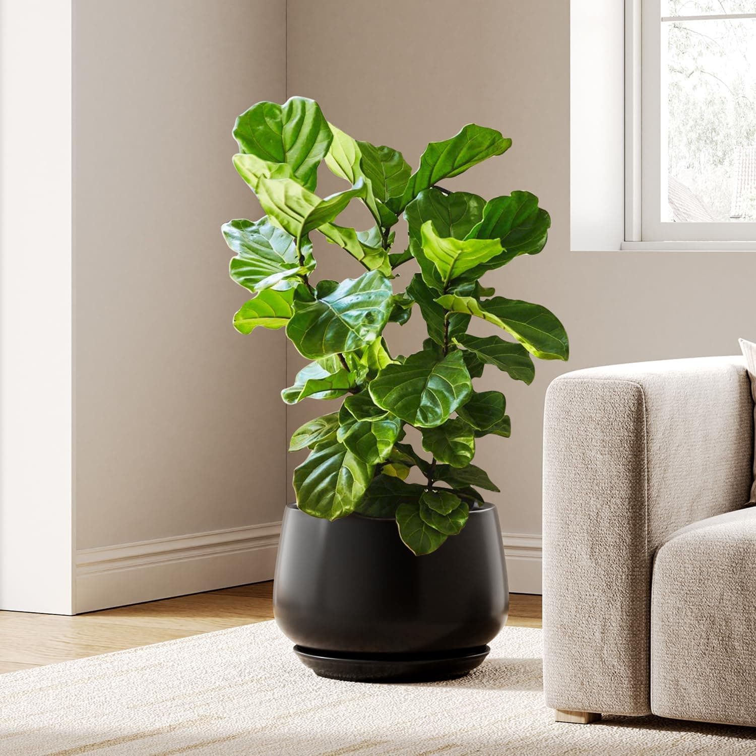 ITOPFOX Ceramic Planter 12 Inch Indoor Plant Pot with Drainage Hole and Saucer Modern Black Flower Pot for Houseplants Decorative Container | Lowe's