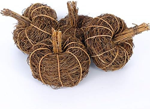 CIR OASES 4PCS Artificial Pumpkins Mini Pumpkins Decorative Grapevine Pumpkins for Bowl or Vase D... | Amazon (US)