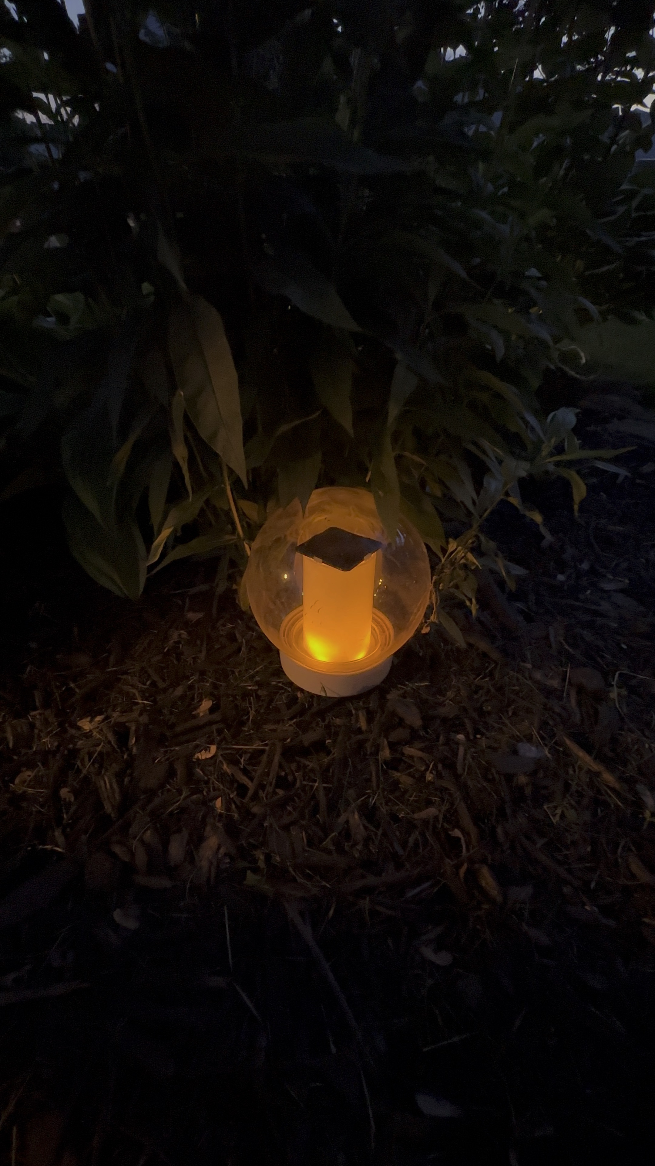 Favorite flickering solar lights that look great in your landscaping or floating in a pool 

#LTKSeasonal #LTKVideo #LTKHome