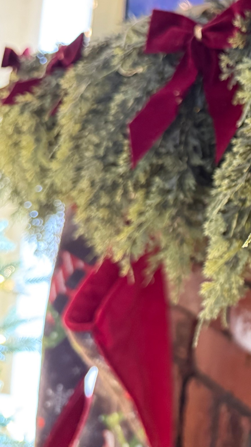 Loving this garland sooooo much it's worth the hype 



#LTKGiftGuide #LTKSeasonal #LTKHoliday