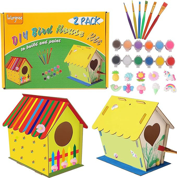 DIY Bird House Kit for Kids-2 Pack Big Size Build and Paint Birdhouse Crafts for Kids Ages 4-8 Wo... | Amazon (US)